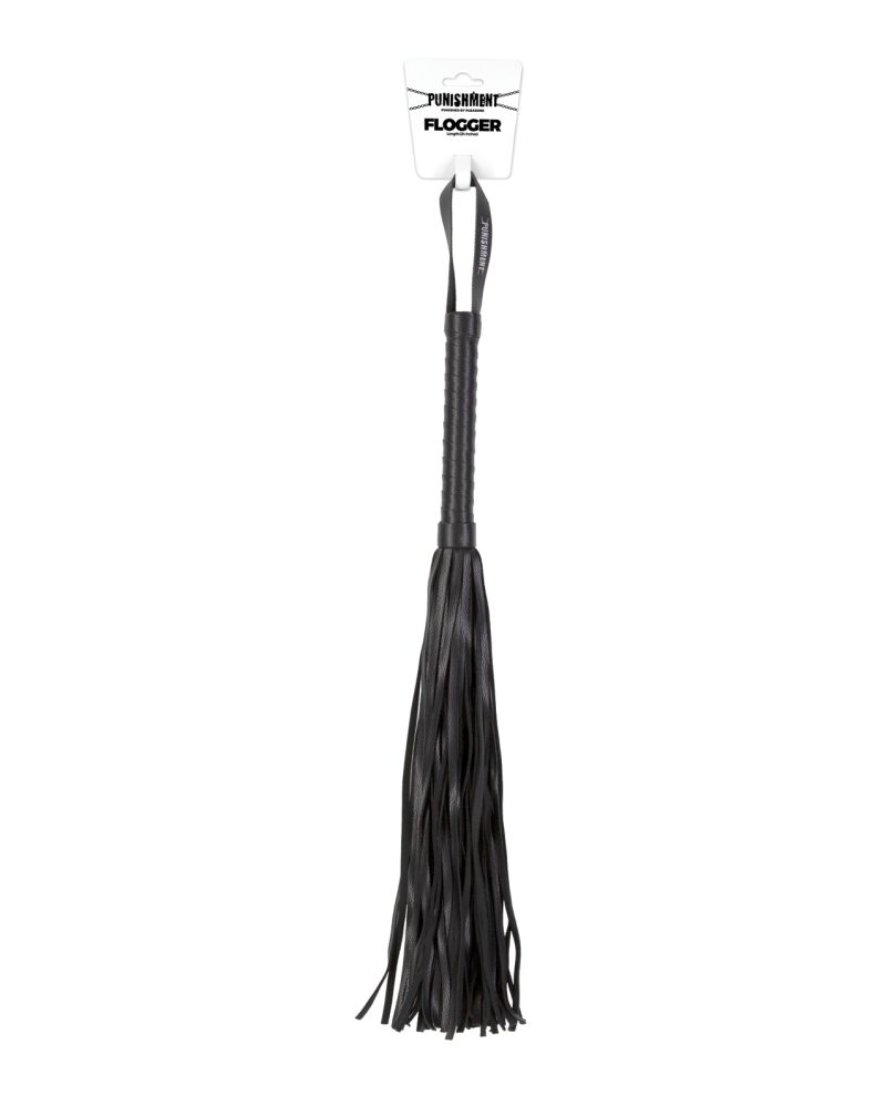 BMS57806 Punishment Flogger by Punishment product image