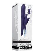 Evolved Put a Ring On it – Purple by Evolved product image