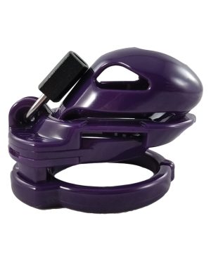 Locked In Lust The Vice Mini V2 – Purple by Locked in Lust product image
