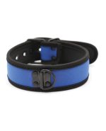 Plesur Neoprene Puppy Collar – Blue by Plesur product image