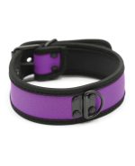 Plesur Neoprene Puppy Collar – Purple by Plesur product image