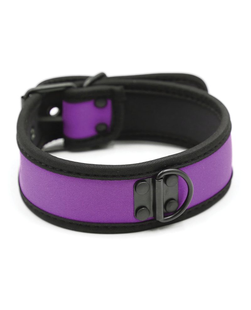 Plesur Neoprene Puppy Collar – Purple by Plesur product image